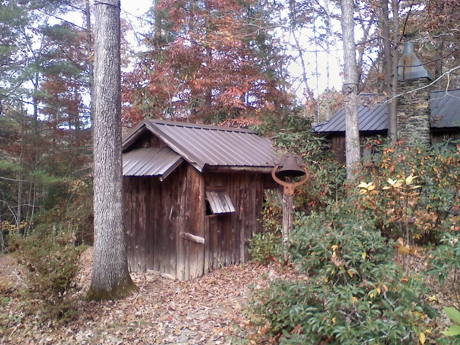 Small metal roof on a rough sawn shed in the woods in West Salem
